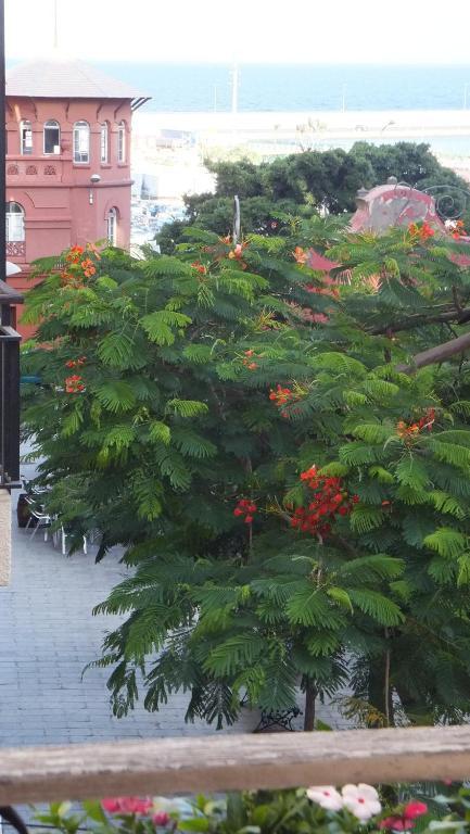 Casa Colonial Cejas Hotel Santa Cruz de Tenerife Phòng bức ảnh